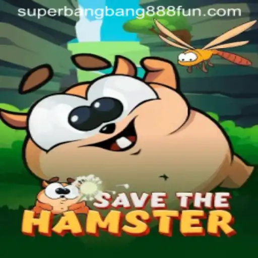 The Exciting World of SavetheHamster: A Deep Dive into Its Gameplay and Mechanics
